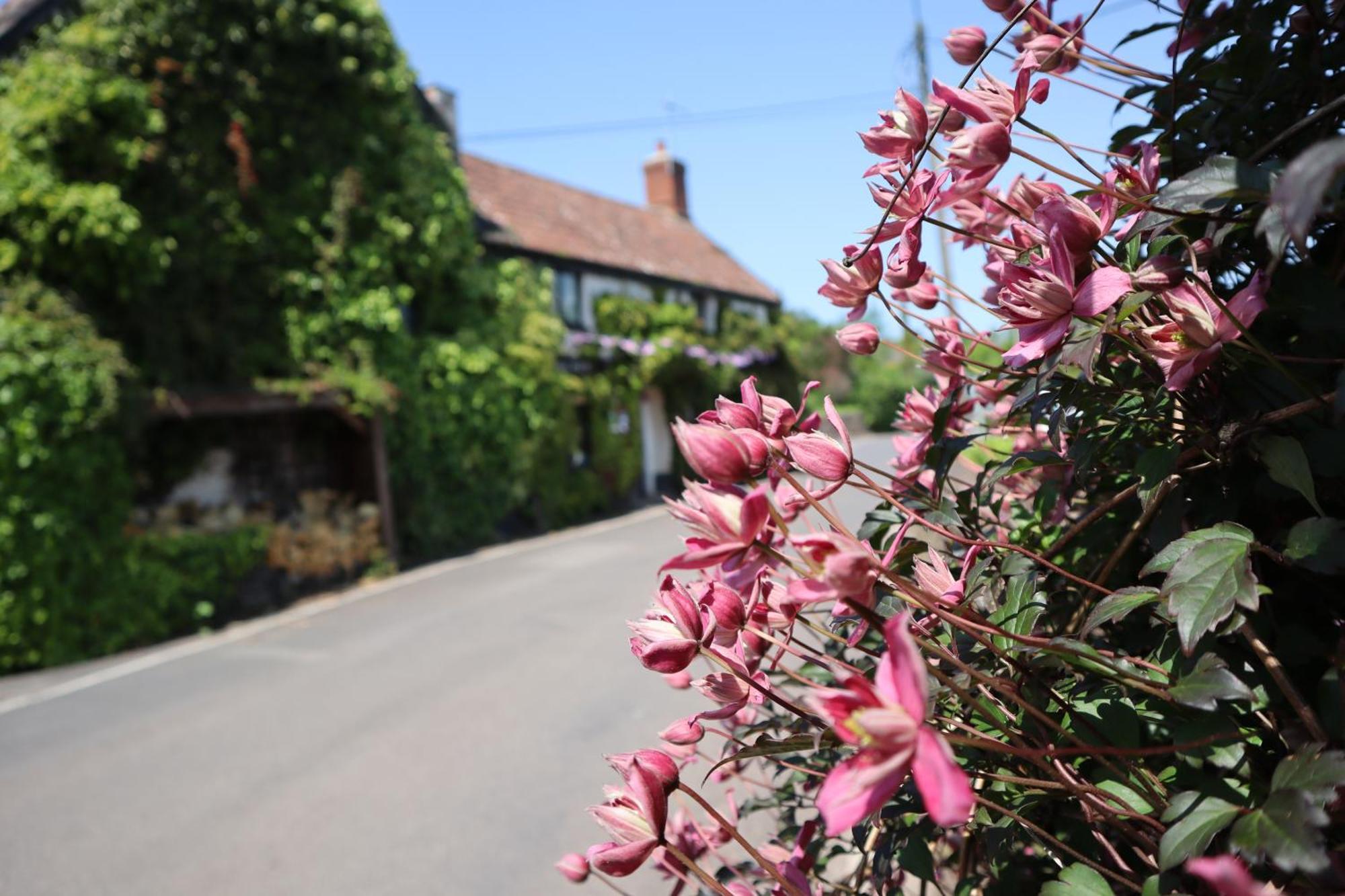 The White Horse Inn Washford Exterior foto