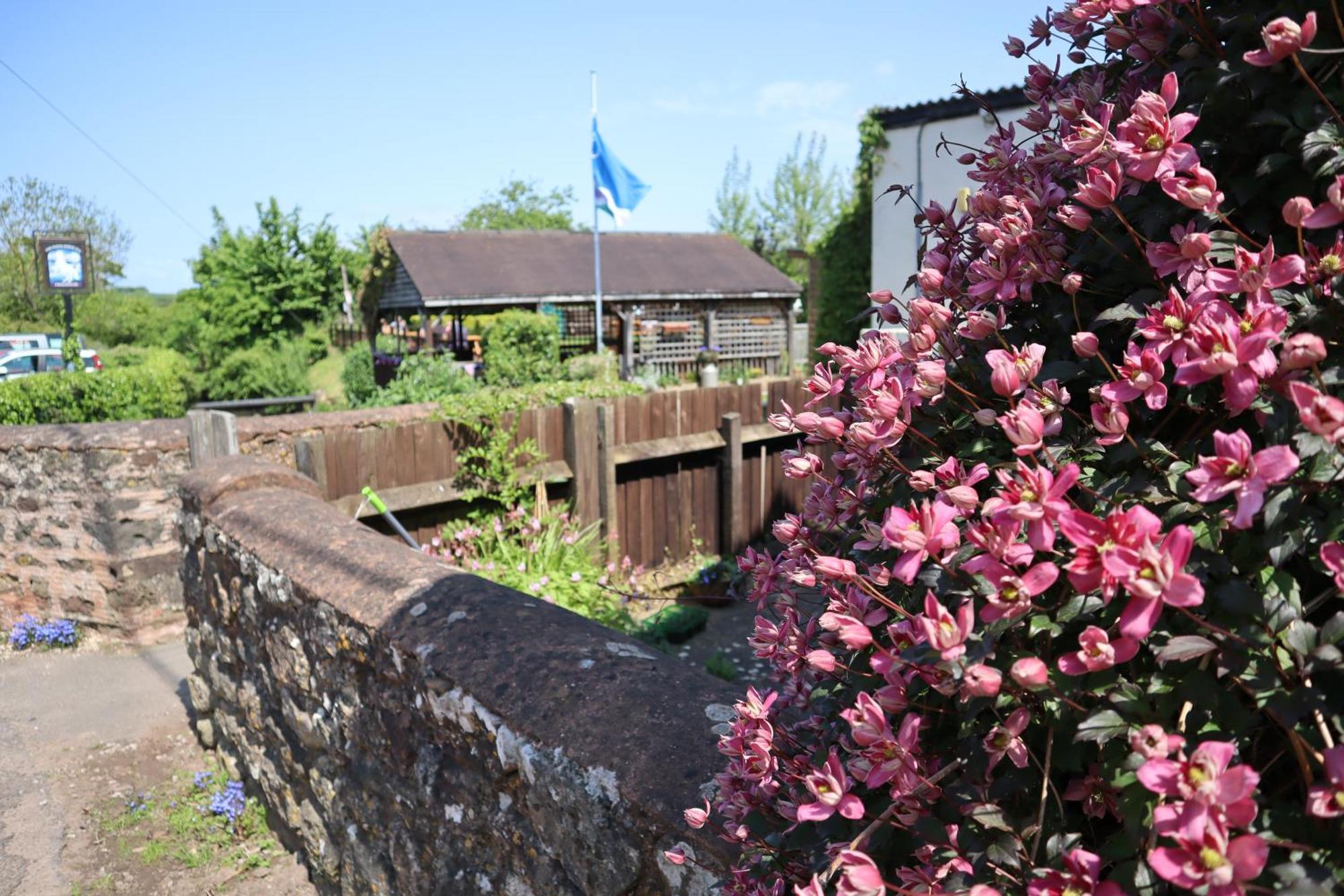 The White Horse Inn Washford Exterior foto
